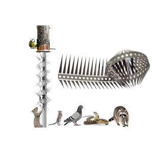 Pics Anti-Pigeons Et R&eacute;pulsifs Pour Petits Oiseaux En Acier Inoxydable - Neuf