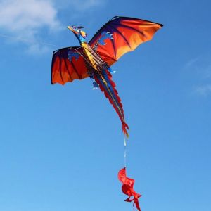 Cerf-Volant Dragon 3d Color&eacute; En Plein Air Avec 100m Ligne De Queue Enfants Enfants Jouets - Neuf