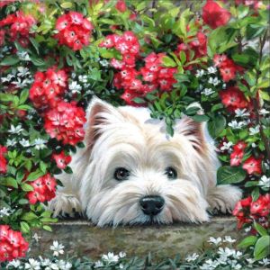 Ayuhr-Diy Chien Diamond Painting Accessoires, Animaux 5d Broderie Diamant Kit Complet Point De Croix Strass Diamant Painting, Peinture Diamant Craft Home Artisanat Murale Décor 35x35cm - Neuf