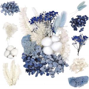 Ensembles de Fleurs S&eacute;ch&eacute;es Natu relles&iquest;Bricolage Fle urs S&eacute;c h&eacute;es Ensemble Feuilles Naturelles Press&eacute;es &agrave; Sec,Fleurs press&eacute;es,Se chees Natur Elles pour L'artisanat d'art de - Neuf