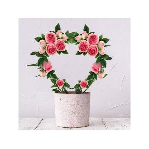 Tuteur en forme de c?ur pour plantes grimpantes - Lot de 4 - Neuf