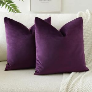 Cauc-Lot De 2 Housses De Coussins En Velours D&eacute;coratif Canap&eacute; Taie D'oreiller Doux Decoration Pour Maison Salon Chambre Canap&eacute; D&eacute;coration 45x45cm (Aubergine Pourpre) - Neuf