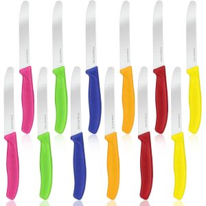 12 Pièces Couteaux À Steak, Couteaux De Table Avec Bord Dentelé, Couteau A Steak Acier Inoxydable 22 Cm, Couteau De Table Avec Manche Ergonomique Pour Steak, Pain, Légumes¿Coloré¿ - Neuf