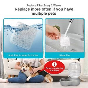 Remplacement Du Filtre D'abreuvoir Pour Animaux De Compagnie Pour 0.5/1/2.5/4 Gal 6pcs - Neuf