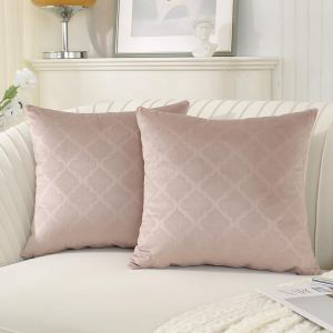 CAUC-Housse Coussin 50x50 Decoration Canape Salon Maison Interieure Lot de 2 Housses de Coussins Carr&eacute; pour Deco Chambre Enfant Lit Jardin D&eacute;co Aesthetic en Velours, Coussin Rose Gris - Neuf