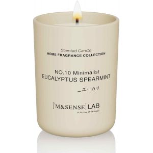 Bougie Naturelle &agrave; la Cire de Soja |Eucalyptus Mint|250g|Bougie Parfum&eacute;e Minimaliste pour D&eacute;tente,Cadeaux,D&eacute;coration Int&eacute;rieure|Chambre,Bureau,Petites F&ecirc;tes - Neuf