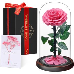 No&euml;l Cadeaux pour Femmes - Rose &Eacute;ternelle sous Cloche, Naturelle Fleur Eternelle Cadeau, Id&eacute;e Boite Rose Eternel, Cadeau pour la Saint-Valentin, Anniversaire, Femme,Copine,Amie,Maman,Grand Mere - Neuf