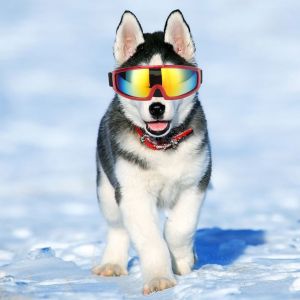 Hjlian Lunettes De Soleil Uv Pour Chiens De Taille Moyenne Et Grande, Accessoires De Protection Des Yeux, Decoration Pour Animaux De Compagnie, Rouge - Neuf