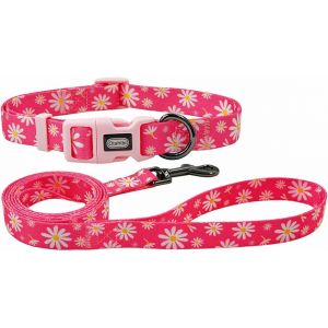 Ensemble Collier Et Laisse Pour Chien - Motif Floral - En Polyester - Laisse Assortie De 150 Cm - Pour Chiots - Taille Xs - Marguerite Rose - Neuf