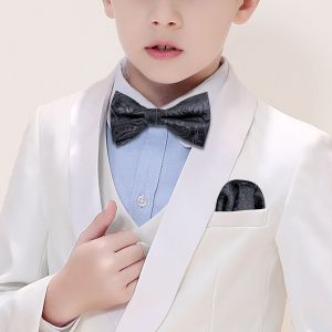 Barry.Wang Soie Pré-Attaché Garçon Enfants Noeud Papillon Hanky Ensemble Jacquard Papillon Teenger Or Bleu Rouge Vert Sarcelle Rose Violet Noeud Papillon - Neuf