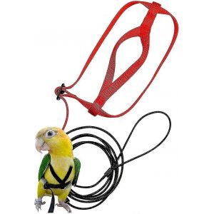 Harnais Pour Perroquet Perroquet Harnais Et Laisse Pour Perroquet Laisse Pour Cacatoès Pour L'entraînement Et La Marche (S) - Neuf