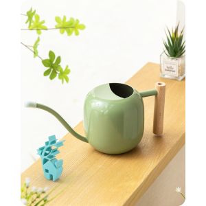 Ulteronixshop-Arrosoir d'int&eacute;rieur en acier inoxydable de 1,2 l avec poign&eacute;e lisse, arrosoir de jardin en m&eacute;tal avec long bec pour petites plantes et fleurs en pot (vert sauge) - Neuf