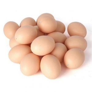 20pcs Coquille d'oeuf en plastique simulé oeufs oeufs faux oeufs aider à la ponte - Neuf