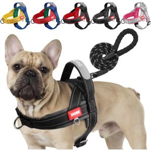 Jgd-Harnais Chien Avec Laisse, Harnais Bouledogue Fran&ccedil;ais, Arnet Chien R&eacute;fl&eacute;chissant Harnet Color&eacute; &Agrave; Blocs De Couleurs Reglable Pour Chiot Petit Et Moyen Chiens, Noir + Gris, S - Neuf