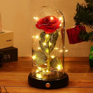 Rose dans un dôme de verre beauté et la bête Rose pour toujours fleur de rose avec lumière Led verre Rose cadeaux pour sa fête des mères anniversaire mariage anniversaire - Neuf