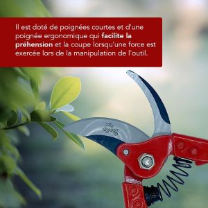 Ciseaux d'&eacute;lagage universel - Outil de jardinage professionnel - Ciseaux &agrave; main id&eacute;al pour plantes, fleurs, jardin et potager - Coupe maximale 20 mm avec amortisseur - Neuf