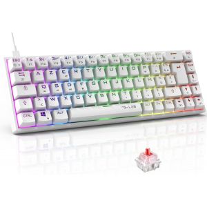 KALANKA-- Keyz Titanium - Clavier Gamer Blanc 65% AZERTY, USB - Clavier Mecanique Switch Rouge - RGB 100% Personnalisable, Anti-Ghosting, Macro programmable - pour PC, PS4, PS5, Xbox - New (Blanc) - Neuf