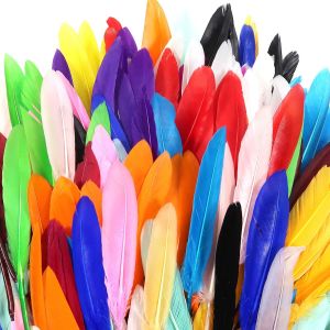 Mevronisshop-Toaob 250pcs Plumes Color&eacute;es En Naturelles 10cm &Agrave; 15cm Artisanat Blanc Noir Rouge Vert Bleu Etc Pour Loisirs Creatifs Decoration De F&ecirc;te Centres De Mariage D'anniversaire - Neuf