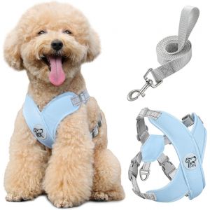 Eryi-Harnais Pour Chiens Avec Laisse, Harnais Sécurisé Anti-Traction En Forme De X, Veste Pour Chiens De Petite & Moyenne Taille, Ceinture De Sécurité D'animaux Réglable Pour Promenade, M - Bleu - Neuf