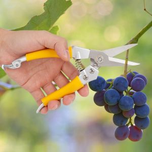 HJLIAN Secateur multifonctionnel pour jardin, fleurs, arbres, ciseaux de coupe (procede de galvanoplastie) - Neuf