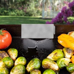 Plate-forme porte plaque gardien de plaque Grill Door Aliments Casse - Neuf
