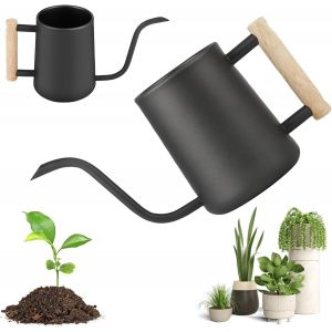 CHECARZHN--NO1-1 L/35 Oz Arrosoir Plantes D'Intérieur Arrosoir Petit En Acier Inoxydable Avec Poignée En Bois Confortable Et Bec Verseur Long Et Fin, Arrosoir D'Intérieur Pour Plantes D'Intérieur, Pl - Neuf