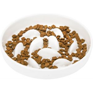 Kalanka-Gamelle Anti Glouton Chat C&eacute;ramique, 16 Cm Large, Peu Profond Gamelle Anti-Glouton Chat Pour Croquettes Et P&acirc;t&eacute;e, Bol Pour Chats Et Petits Chiens, Lavable Au Lave-Vaisselle (Blanc) - Neuf