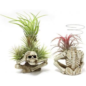 KALANKA-Support en métal pour pots de fleurs, pot de fleurs, tête de mort, étagères pour plantes aériennes, fournitures de jardin, stand d'exposition pour plantes aériennes, support pour plantes - Neuf