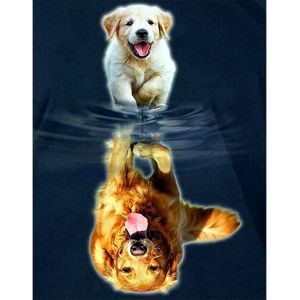 Oayew-Diamond Painting Carr&eacute;e Diamant Chien 40x50 Cm Square Drill Diamond Painting Chien Golden Retriever Painting Diamant Chien Broderie Diamant Petit Chien Mosa&iuml;que Chien Reflet Peinture Num&eacute;ro - Neuf