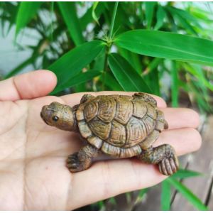 MEVRONISSHOP-Figurine Tortue de 6,5 cm de Long - Petite Figurine Animale en r&eacute;sine - Figurine d&eacute;corative pour Jardin/int&eacute;rieur - Mini &eacute;tang - Neuf