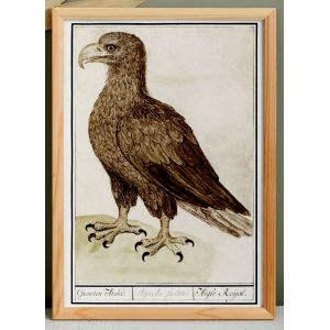 Petite affiche sur l'aigle, d&rsquo;apr&egrave;s une gravure ancienne de 1610. - Neuf