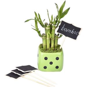 Lot De 20 &Eacute;tiquettes En Plastique Pour Plantes De Jardin, En Bois, Imperm&eacute;ables, Pour Pots De Fleurs, &Eacute;tiquettes De Jardinage, Pour Semis, Plantes, Jardinage - Neuf
