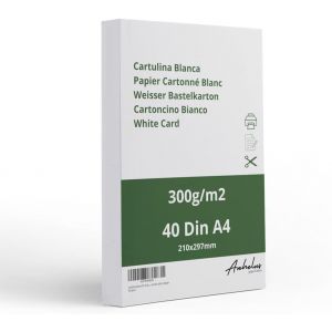 JEXNOVASHOP-40 Papier Cartonn&eacute; A4 blanc - feuilles cartonn&eacute;es 300gr/m2 - feuille cartonn&eacute;e &eacute;pais - Carton satin&eacute; &agrave; imprimer - Carton &agrave; dessin, &agrave; d&eacute;couper et &agrave; peindre - Neuf