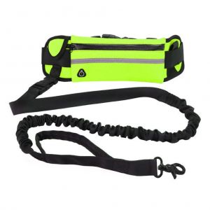 Laisse Mains Libres Pour Chien Avec Pochette Zippee, Sac Banane Reflechissant Pour Jogging, Marche, Course De Nuit - Neuf