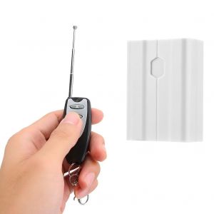 Module relais de telecommande sans fil 433 MHz 12 V 2 canaux avec 2 boutons - Neuf