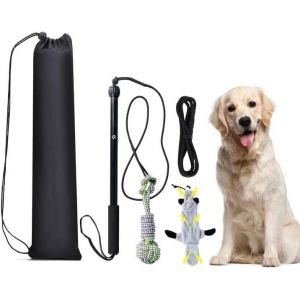 Flirt Pole For Dogs,Extendable Dog Teaser With Rope Indestructible Ball And Plush Squeaky Toy,Outdoor Interactive Pole Toys For Dogs Animals - Neuf