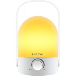Petite Lampe De Table Led Sans Fil 2 Couleurs Avec Poignée Portable, Petite Lampe De Chevet Rechargeable À Intensité Variable En Continu Pour L'intérieur Et L'extérieur, Lampe De Table Pour - Neuf