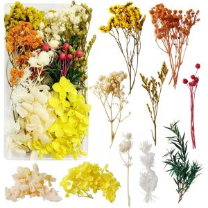 Fleurs S&eacute;ch&eacute;es Fleur Sechees Decoration Fleurs Sechees Naturelles Fleurs Sechees Fleurs S&eacute;ch&eacute;es pour Resine Epoxy Vraies Fleurs Press&eacute;es S&eacute;ch&eacute;es pour la D&eacute;coration de Bricolage (Jaune) - Neuf