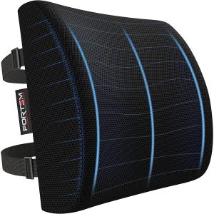 SUBZONAL-Coussin De Soutien Lombaire, Support Ergonomique Maintien du Dos en Mousse &Agrave; M&eacute;moire De Forme, Corrige La Posture, pour Voiture Bureau Chaise Fauteuil, Housse Lavable (Noir) - Neuf