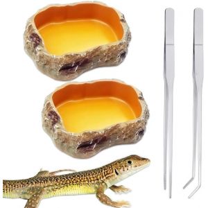Kalanka-Lot De 4 Reptile Growth, Gamelle Reptile Accessoire Terrarium,Bol En Résine De Reptile,Bol De Nourriture Pour Reptiles,Acier Inoxydable Brucelles Pour Animaux De Compagnie Serpent Tortue Léza - Neuf