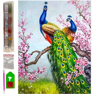 Oayew-Diamond Painting Kit Complet, Kit De Peinture Au Diamant 30 X 40 Cm Diamond Painting Kit Complet Accessoires Diy 5d Tableau Point De Croix Broderie Bricolage D&eacute;coration Murale (Pavo Royal) - Neuf