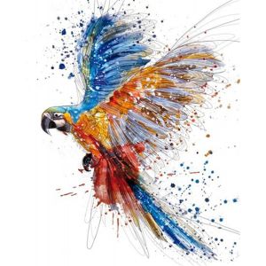 Peinture Numero Colibri, Bricolage Peinture Par Numero 40x50 Cm Acrylique Decoration Murale (Oiseau, Sans Cadre) - Neuf