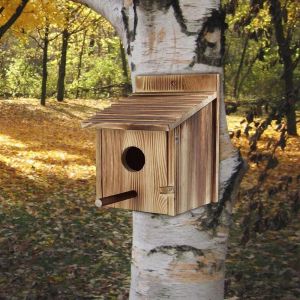 Nichoir À Oiseaux En Bois, Mangeoire Pour Oiseaux, Maison À Oiseaux Bleus, - Neuf