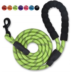 Vert,1,5 M De Long En Nylon Laisse De Chien Avec Poignée Rembourrée, Pour Tous Les Jours De La Marche Et De La Formation, Adapté Pour Les Grandes Et Moyennes Chiens - Neuf