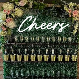 Panneau Néon Cheers Alimenté Par Usb Avec Interrupteur À Intensité Variable Panneau Néon Led Pour Décoration De Fond Mural Panneau Lumineux Néon Pour Bar Fête D'anniversaire Mariage 38,1 X 14 Cm - Neuf