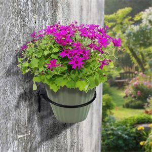 Lot De 3 Supports Muraux Pour Pot De Fleurs-15,2 Cm-Noir - Neuf