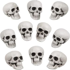 TRAHOO-10 Pi&egrave;ces Cr&acirc;nes d'halloween R&eacute;aliste &agrave; la Recherche de Petits cr&acirc;nes t&ecirc;tes Effrayant Halloween Squelette Humain cr&acirc;ne en Plastique t&ecirc;te de cr&acirc;ne pour la Table de f&ecirc;te d'halloween Maison d&eacute;cor - Neuf