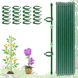 SEPT-(80PCS) Tuteurs pour Plantes, 20 Pièces Tuteur Plante Interieur, 20 Tiges de Plantes Clips, 40 Capuchons de Protection, Tuteur Fleur Interieur, Tuteur Orchidee, Fixation de Croissance des Plante - Neuf