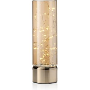 JGD-Guirlande lumineuse en fil de riz - Lanterne &agrave; piles cylindrique en verre - LED chaudes - Option minuterie int&eacute;gr&eacute;e - Guirlande lumineuse d'int&eacute;rieur pour d&eacute;coration d'int&eacute;rieur - Grande - Neuf