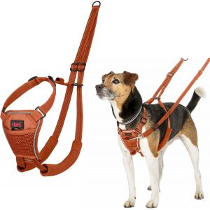 Harnais Anti-Traction - Pour Que Votre Chien Arr&ecirc;te De Tirer Sur Sa Laisse, R&eacute;fl&eacute;chissant, Sangle De Poitrail Et Des Pattes Avant Rembourr&eacute;e, Harnais Pour Petits Chiens (Taille Xs, Orange Br&ucirc;l&eacute;) - Neuf
